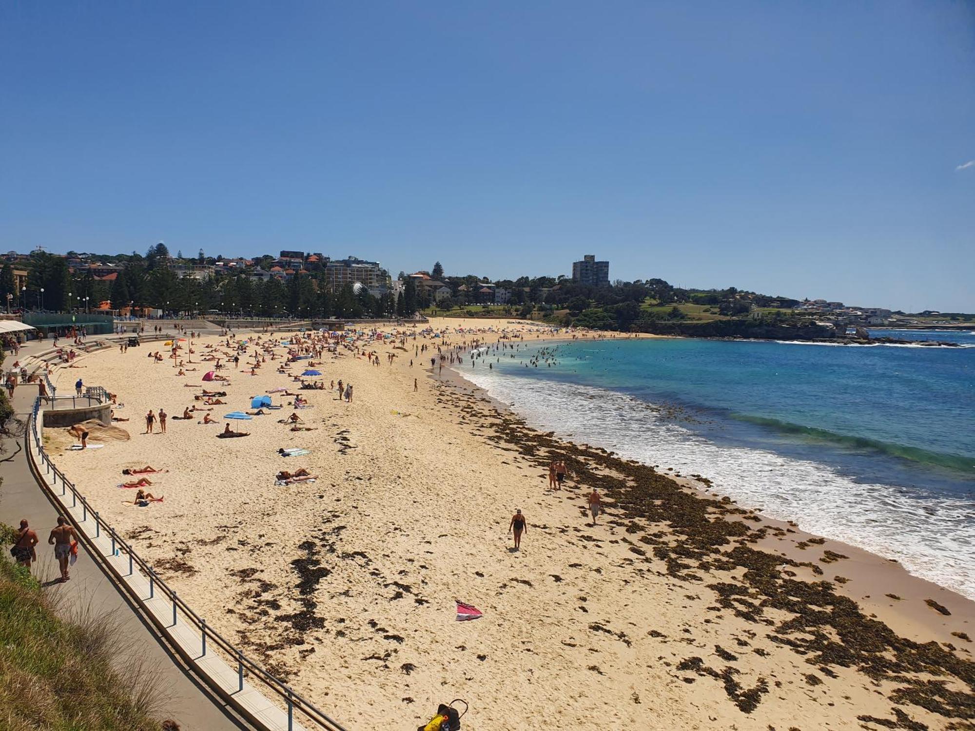 Podbed Coogee Beachside Сидней Экстерьер фото